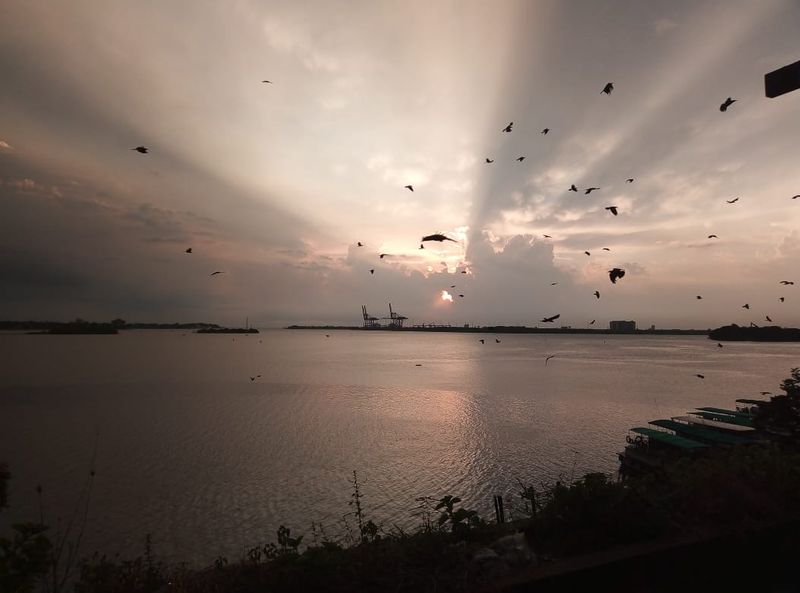 World Photography Day Photographer Ravi tells his own life
