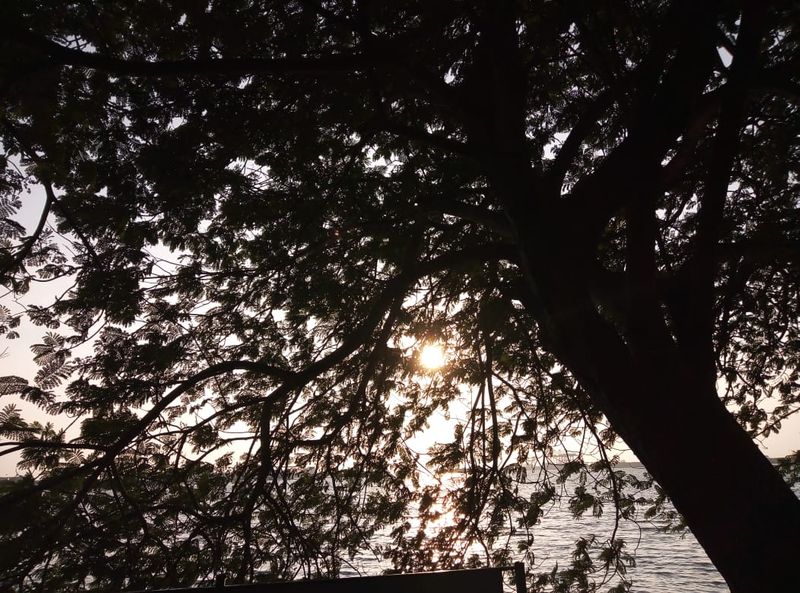 World Photography Day Photographer Ravi tells his own life