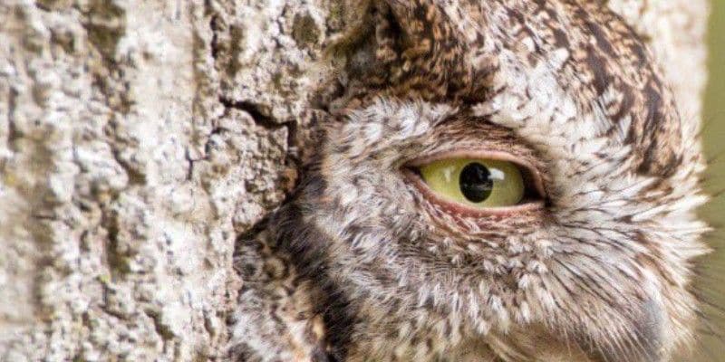 Weird superstitions that people still believe-snj