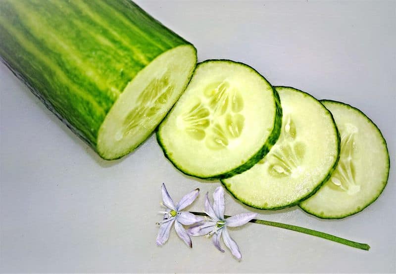 why cucumber skin tough