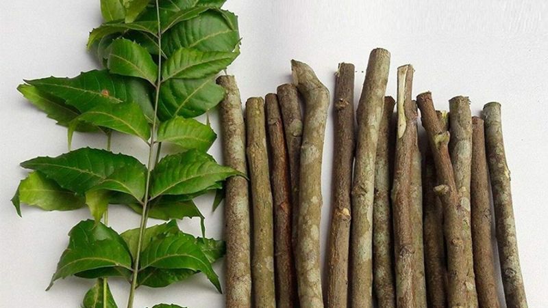 Suffering from toothache make effective herbal toothpaste at home BDD