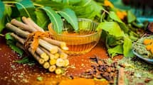 Ayurveda For Weight Loss 7 Herbs That Can Help In Weight Management skr