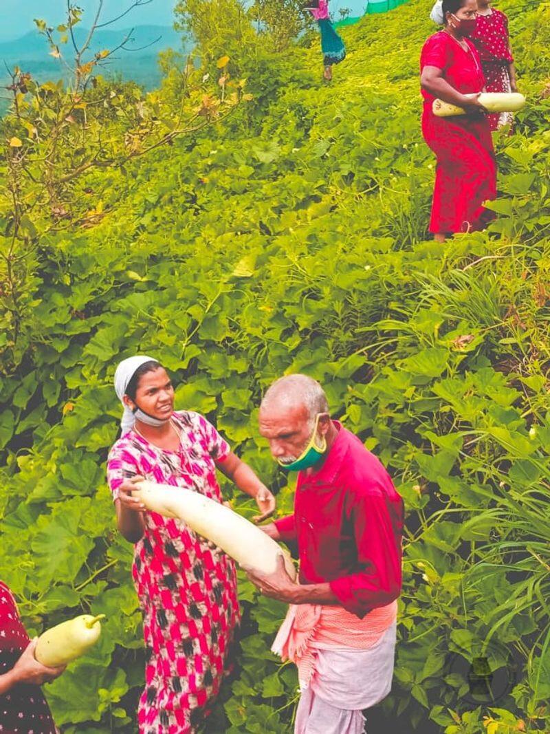 hilltop farming in varingilora