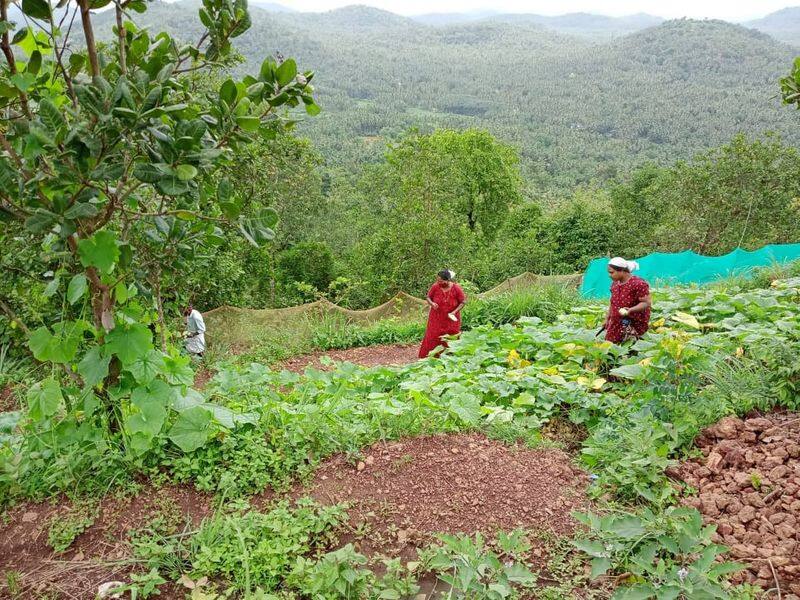 hilltop farming in varingilora