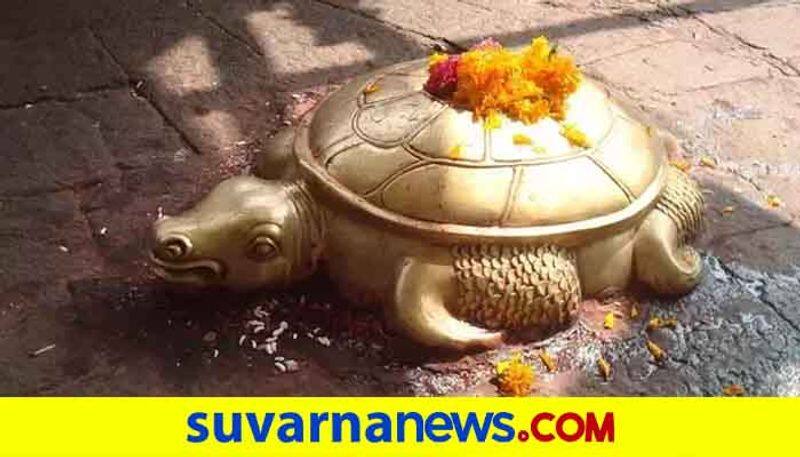Unique turtle in nepal worshipped as kurmavathara