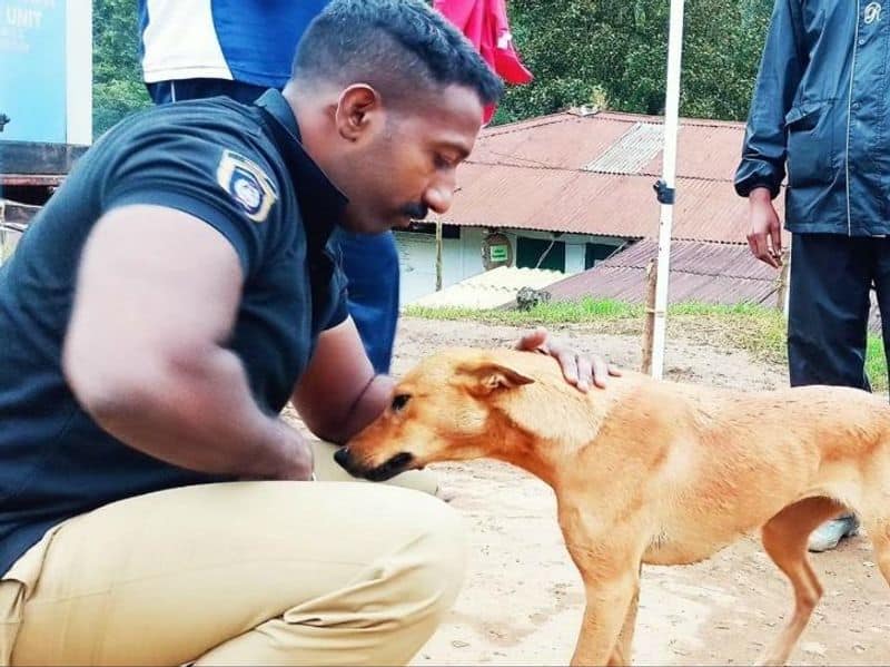 kuvi the dog to be adopted by police dog trainer munnar landslide