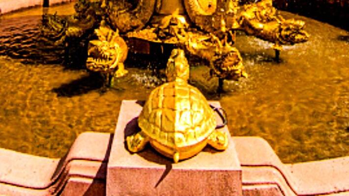 Turtle born with golden shell being worshipped as avataar of Lord Vishnu in Nepal ALB Turtle born with golden shell being worshipped as avataar of Lord Vishnu in Nepal ALB