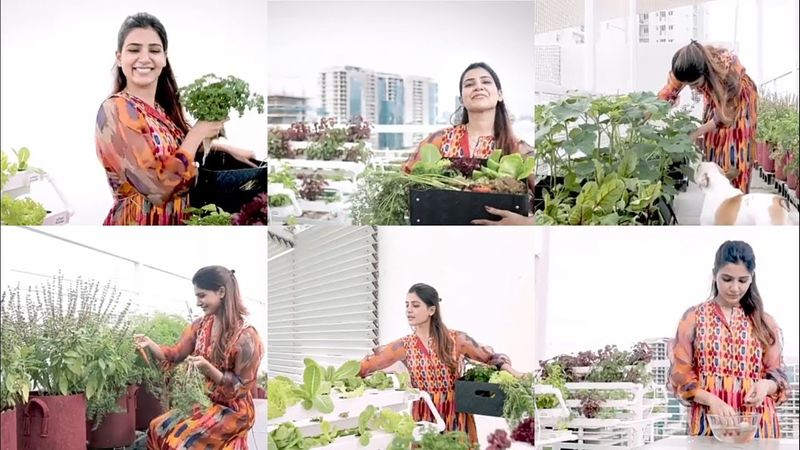 Samantha Lock down Work in Home photos going viral