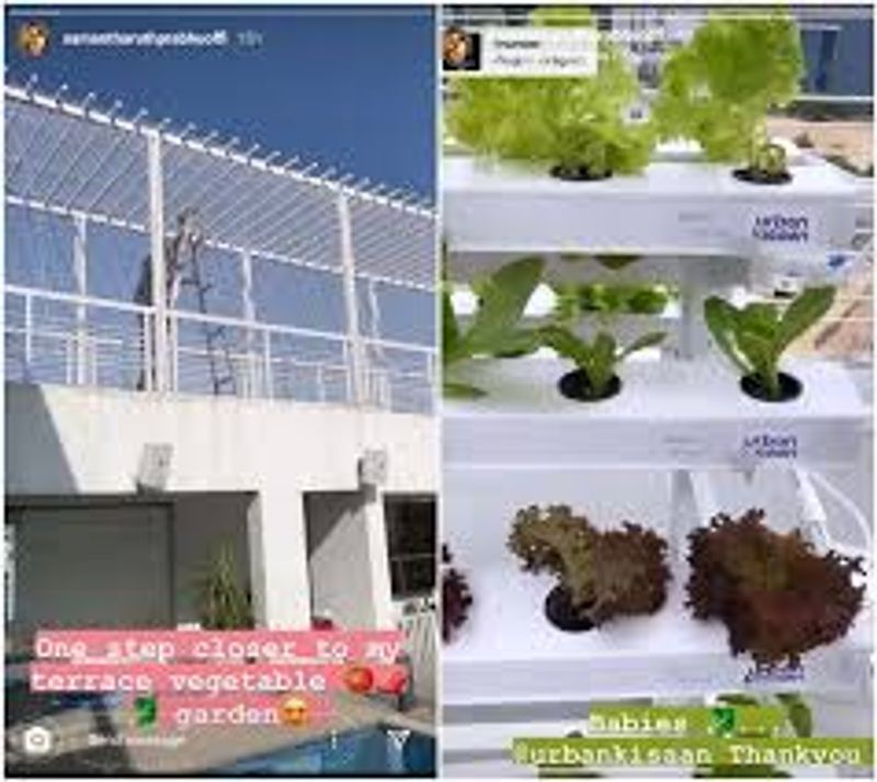 Samantha Lock down Work in Home photos going viral
