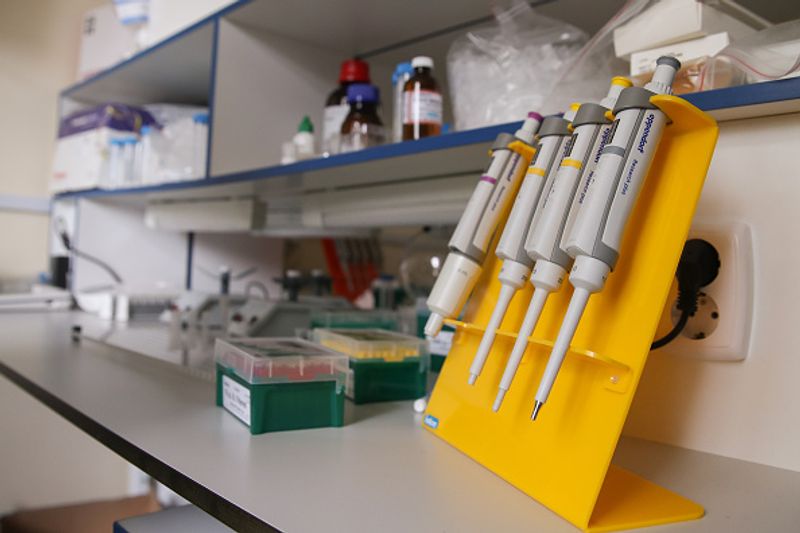 Work on vaccine continues to eliminate the effects of corona virus kpn