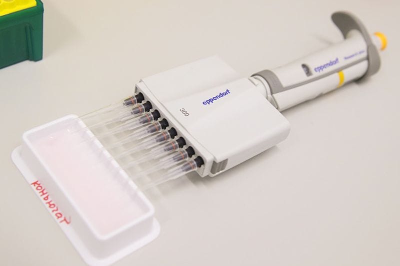 Work on vaccine continues to eliminate the effects of corona virus kpn