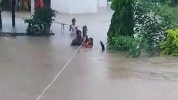Heavy rains: Crocodile found in Musi river flood water Heavy rains: Crocodile found in Musi river flood water