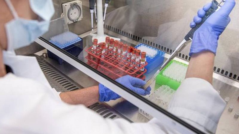 DGCI issues show cause notice to serum institute for oxford coronavirus vaccine bsm