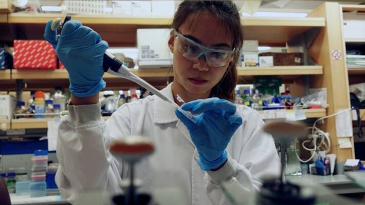 How immune system T cells fight corona virus Scientists focus on it BDD How immune system T cells fight corona virus Scientists focus on it BDD