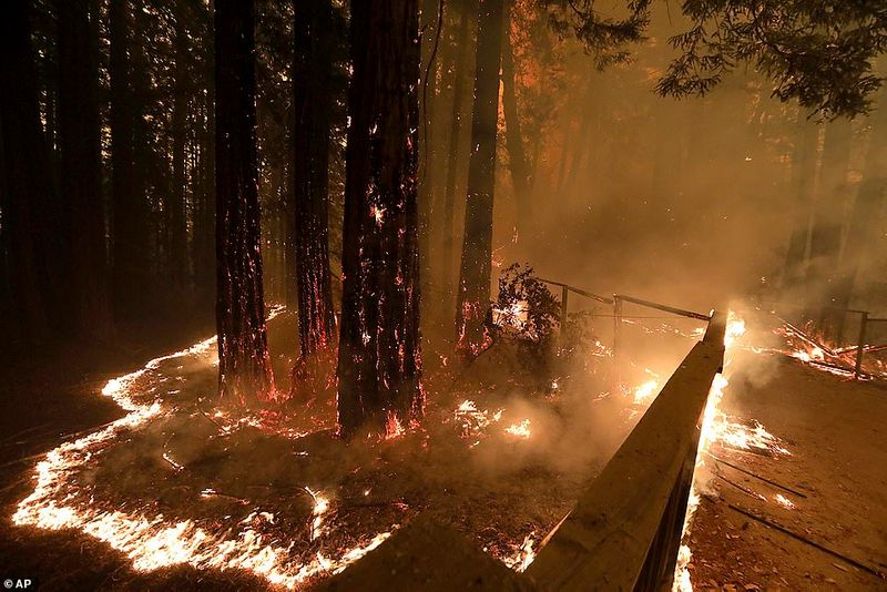 In Los Angeles 314000 acres of forest were destroyed by the fire