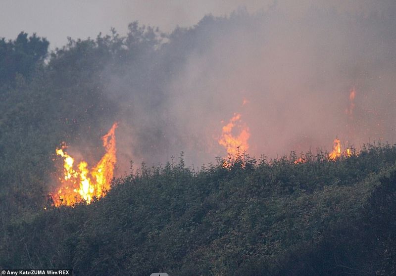 In Los Angeles 314000 acres of forest were destroyed by the fire