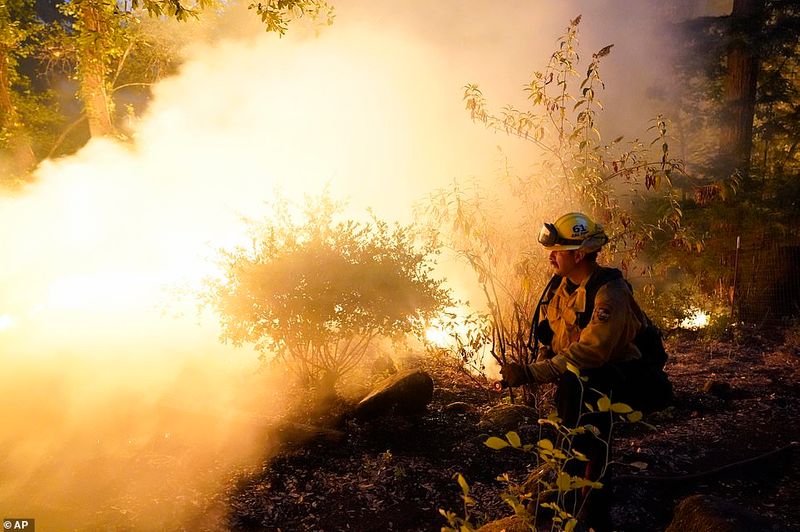 In Los Angeles 314000 acres of forest were destroyed by the fire