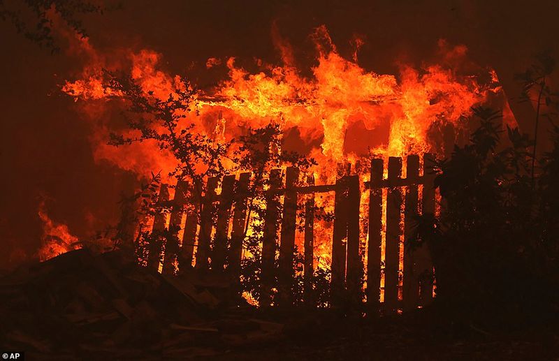In Los Angeles 314000 acres of forest were destroyed by the fire