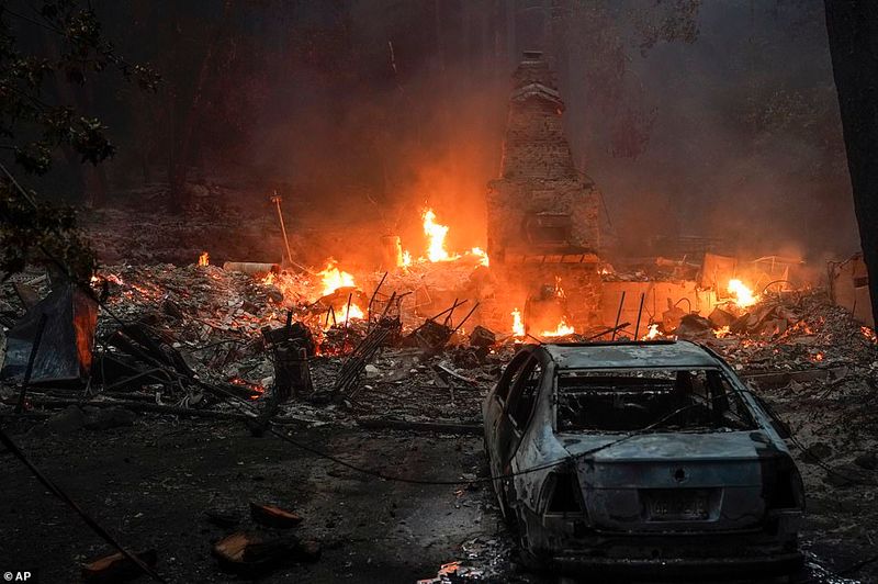 In Los Angeles 314000 acres of forest were destroyed by the fire