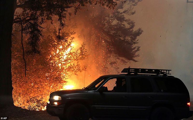 In Los Angeles 314000 acres of forest were destroyed by the fire
