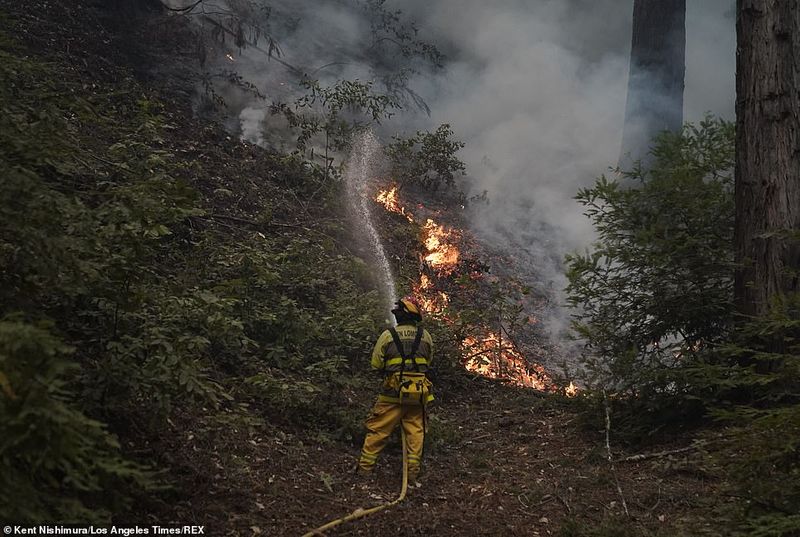 In Los Angeles 314000 acres of forest were destroyed by the fire