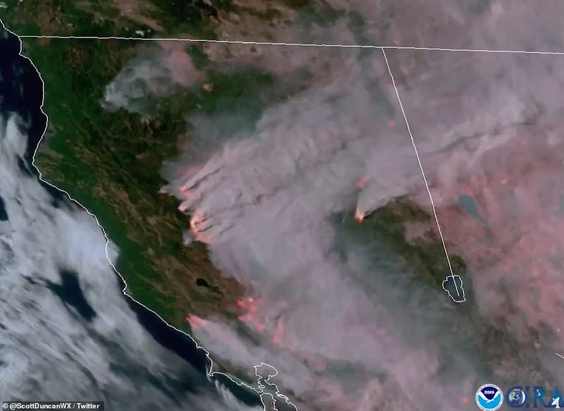 In Los Angeles 314000 acres of forest were destroyed by the fire