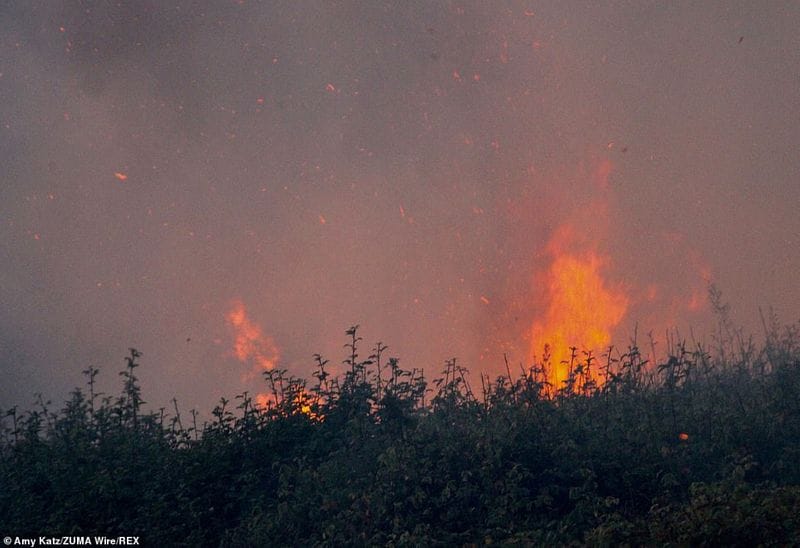 In Los Angeles 314000 acres of forest were destroyed by the fire