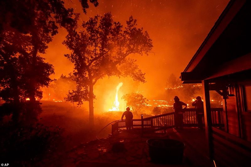 In Los Angeles 314000 acres of forest were destroyed by the fire