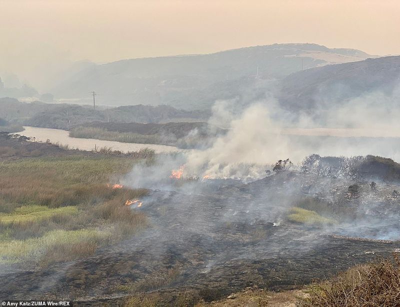 In Los Angeles 314000 acres of forest were destroyed by the fire