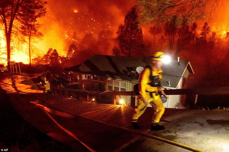 In Los Angeles 314000 acres of forest were destroyed by the fire