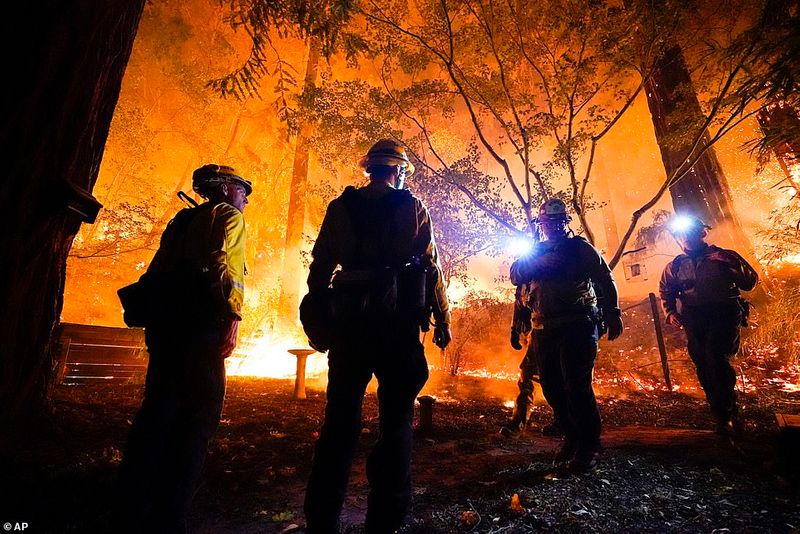 In Los Angeles 314000 acres of forest were destroyed by the fire