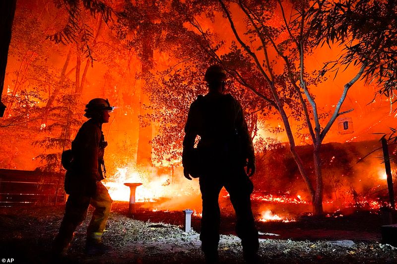 In Los Angeles 314000 acres of forest were destroyed by the fire