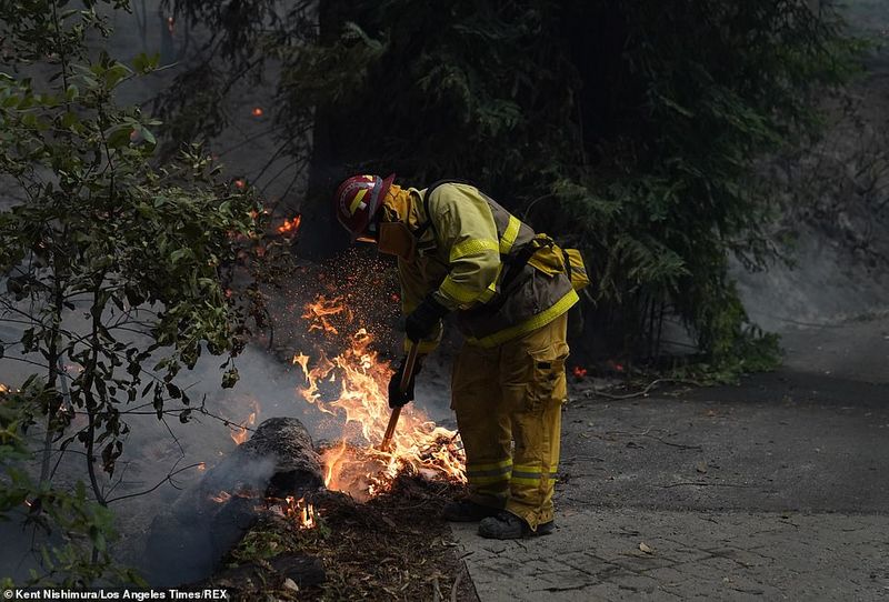 In Los Angeles 314000 acres of forest were destroyed by the fire