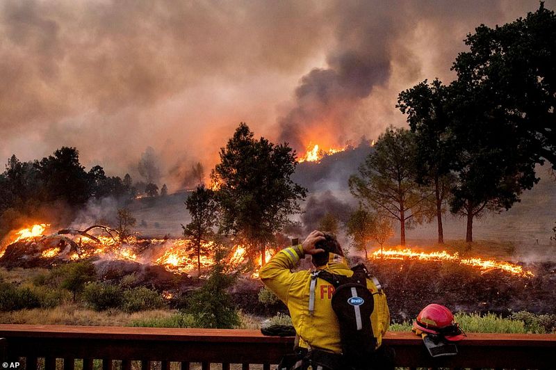 In Los Angeles 314000 acres of forest were destroyed by the fire