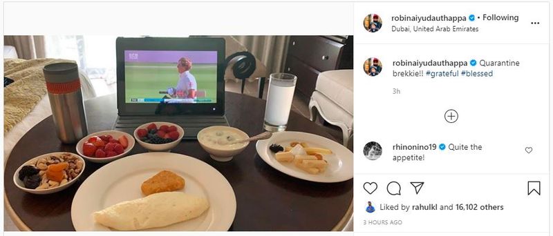 IPL 2020 What food ipl cricketers eating Dubai hotels find out here apc