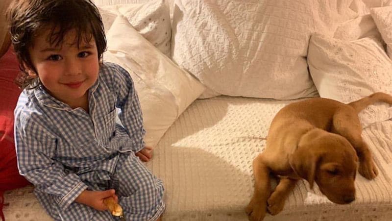 kareena kapoor and saif ali khan 3 year old son taimur ali khan luxurious room inside photos KPJ