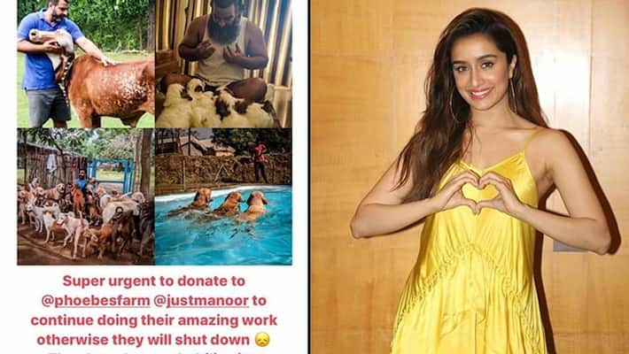 Shraddha Kapoor's latest post can help you be a good samaritan for animals RCB Shraddha Kapoor's latest post can help you be a good samaritan for animals RCB