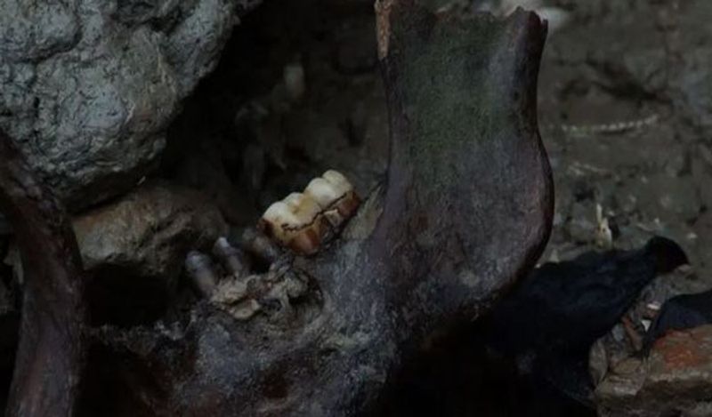 Horror island of UK where visitors are banned and dead bodies litter the earth