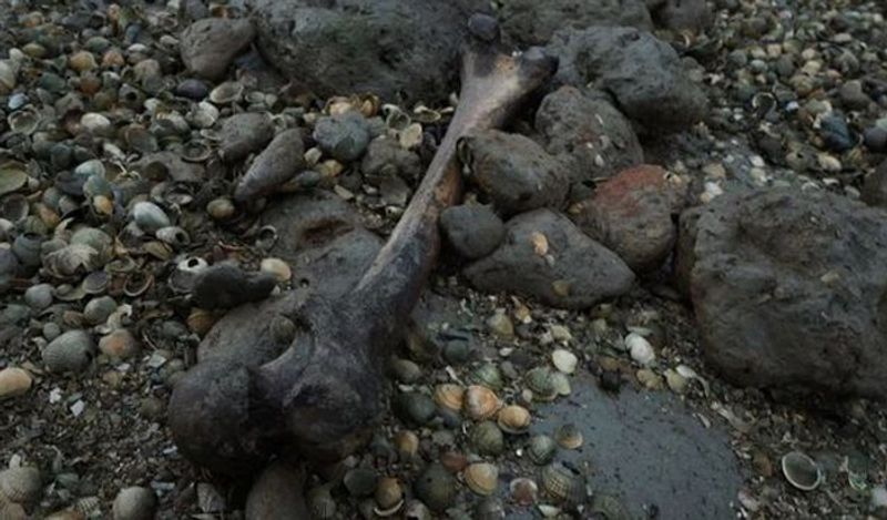 Horror island of UK where visitors are banned and dead bodies litter the earth