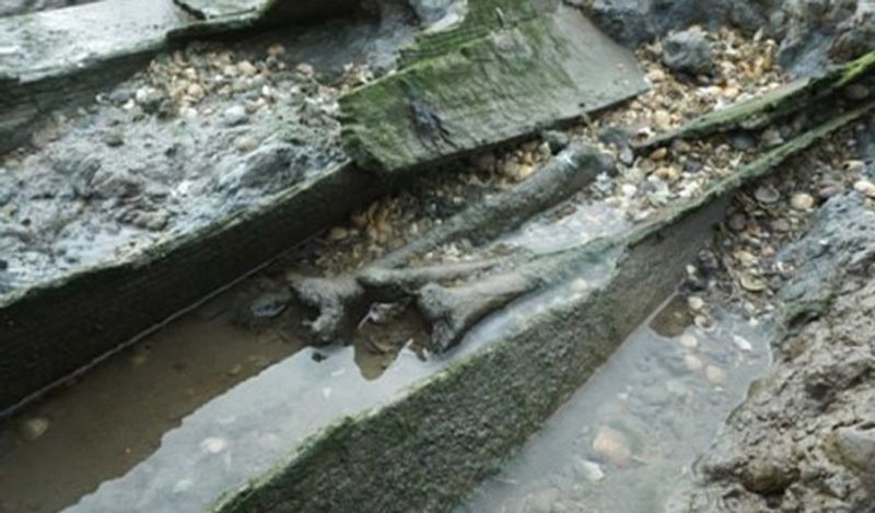 Horror island of UK where visitors are banned and dead bodies litter the earth