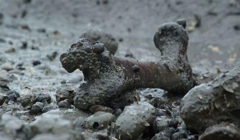 Horror island of UK where visitors are banned and dead bodies litter the earth
