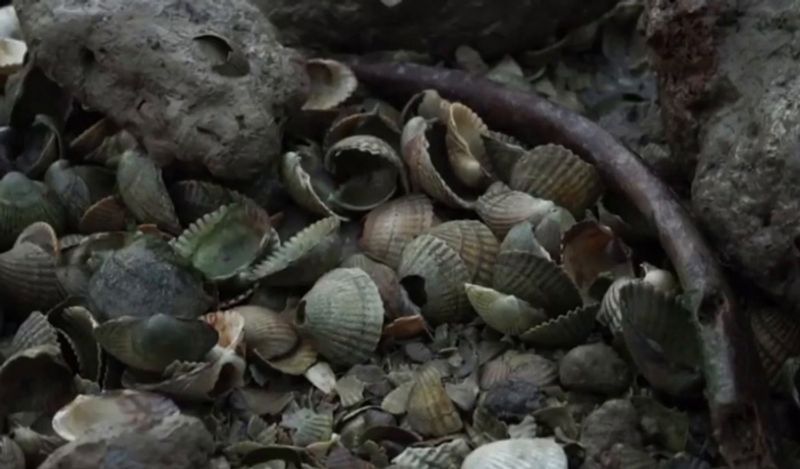 Horror island of UK where visitors are banned and dead bodies litter the earth