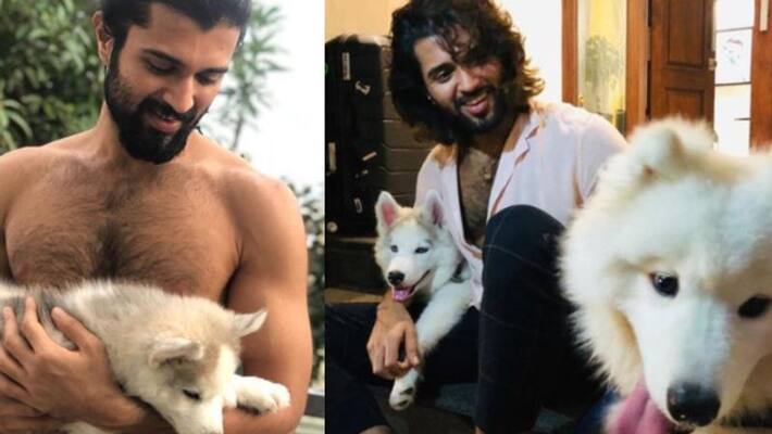 vijay deverakonda shares cute pictures of his pet dogs vijay deverakonda shares cute pictures of his pet dogs