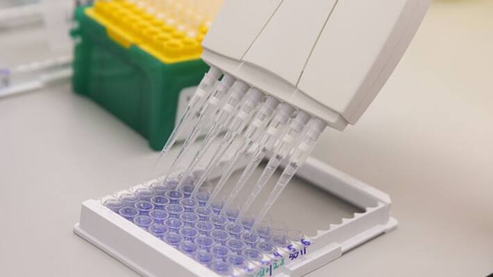 tests increase and covid positive cases rate reduce tests increase and covid positive cases rate reduce