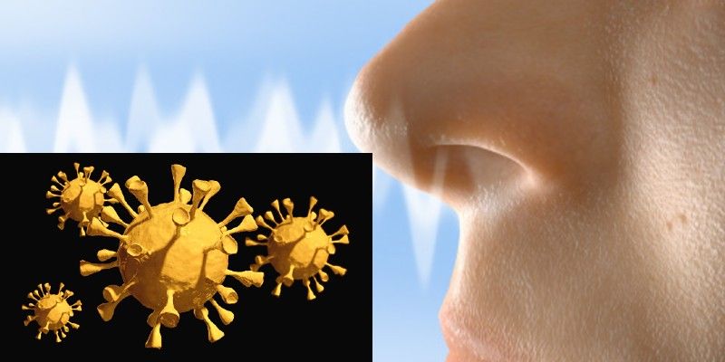 coronavirus vaccine can be administered as nasal drops spray says us research bsm