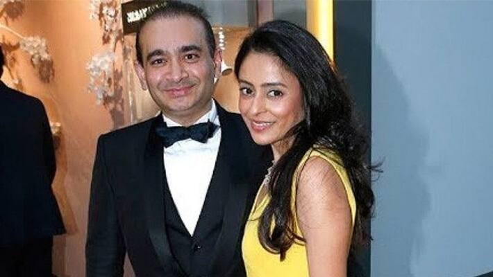 Red Corner Notice issued Against Nirav Modis Wife In Money-Laundering Cases in india Red Corner Notice issued Against Nirav Modis Wife In Money-Laundering Cases in india