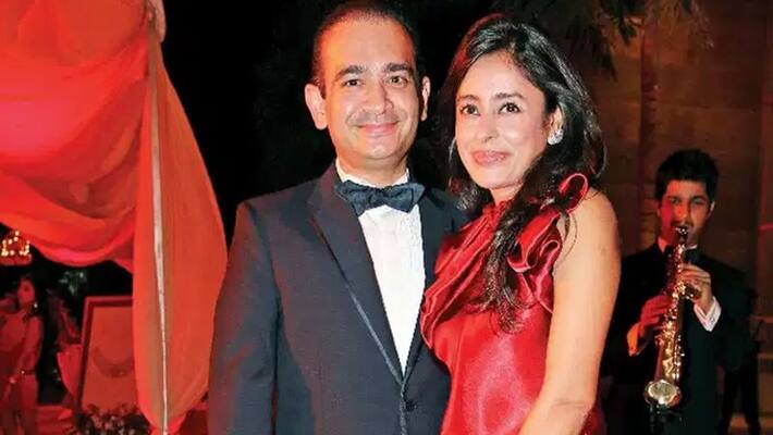interpol arrest warrant issued against Ami Modi wife of Nirav Modi KPP interpol arrest warrant issued against Ami Modi wife of Nirav Modi KPP
