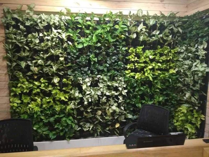 Helpful Tips for Vertical Gardens