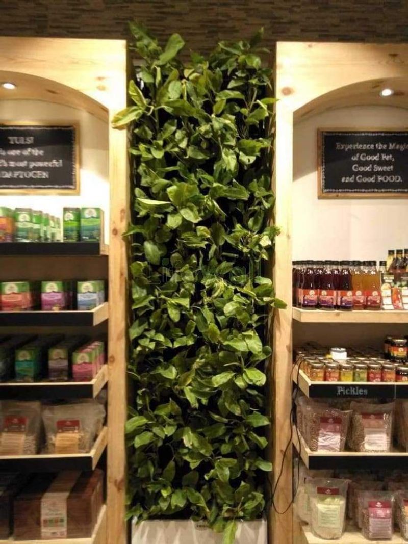 Helpful Tips for Vertical Gardens