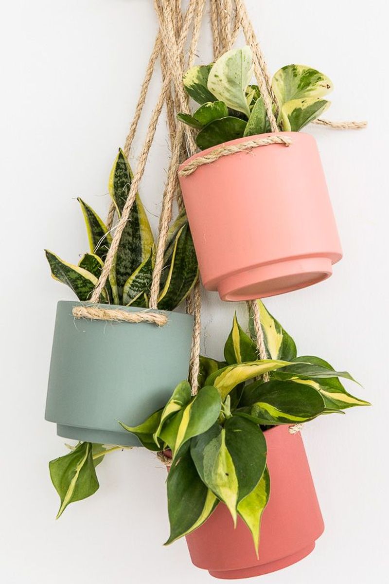 Helpful Tips for Vertical Gardens